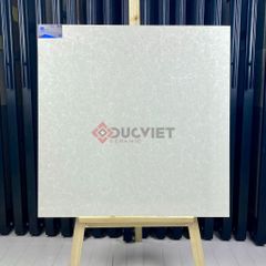 Gạch Viglacera 80x80 TS2-817