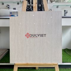 Gạch Viglacera 60x60 TS3-617