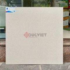 Gạch Viglacera 60x60 TS-MT602