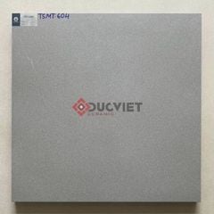 Gạch Viglacera 60x60 TS-MT604