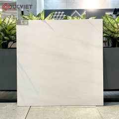 Gạch Eurotile VAD H02 60x60