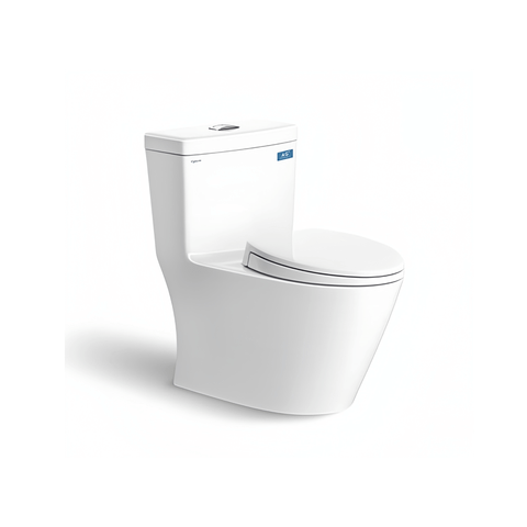 BÀN CẦU MỘT KHỐI V62