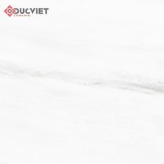 Gạch Eurotile VAD H02 60x60