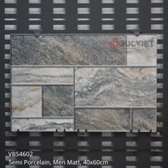 Gạch lát sân vườn Viglacera 40x60 VBS4602
