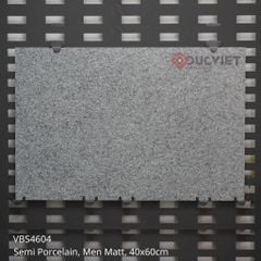 Gạch lát sân vườn Viglacera 40x60 VBS4604