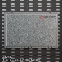 Gạch lát sân vườn Viglacera 40x60 VBS4607