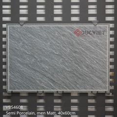 Gạch lát sân vườn Viglacera 40x60 VBS4608