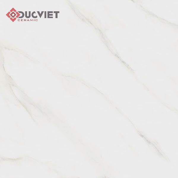 Gạch Viglacera 60x60 VG6001