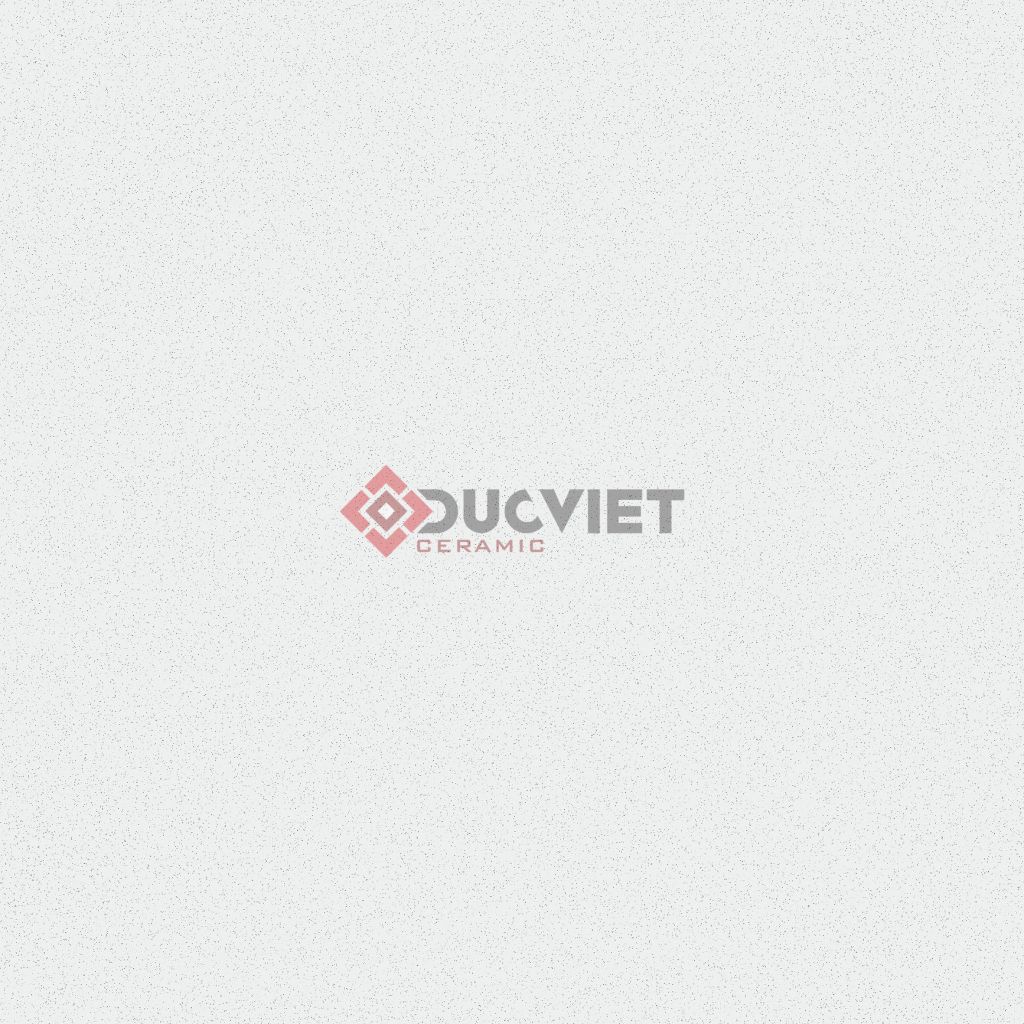 Gạch Grand Ceramics 60x60 VGM66002