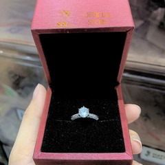 Nhẫn Viền Đôi 6 Chấu Đá 6li5 (Freesize 10 -14) Chuẩn Bạc 925 - GBJ49428 - Gia Bảo Jewelry