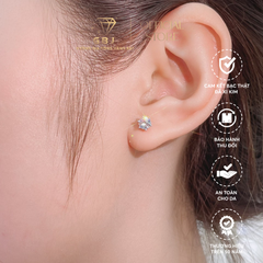Bông Tai 6 Chấu Cao Cấp Chuẩn Bạc 925 - Gia Bảo Jewelry (Có Xi Kim)
