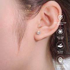 Bông Tai 6 Chấu Cao Cấp Moissanite Chuẩn Bạc 925 - Gia Bảo Jewelry (Có Xi Kim)