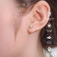 Bông Tai 6 Chấu Cao Cấp Moissanite Chuẩn Bạc 925 - Gia Bảo Jewelry (Có Xi Kim)