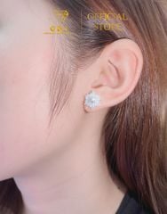 Bông Tai Hoa Tuyết 6 Cánh 4li5 Chuẩn Bạc 925 - GBJ48999 - Gia Bảo Jewelry