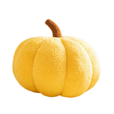  Gối Pumpkin- Gối Trang Trí sofa 