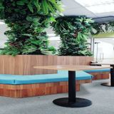  Văn Phòng - Công ty 