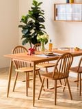  Winsor chair - Ghế ăn Bắc Âu phong cách hiện đại 