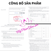 [ALYNA - DÒNG VIP] Kem Nám - Hỗ trợ mờ thâm sạm