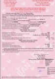 Máy đào bánh xích Kobelco SK260LC-8 