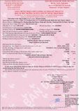  Xe đào bánh xích Hitachi ZX250H-3 
