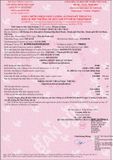  Xe đào bánh xích Hitachi ZX250H-5B 