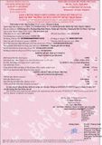  Xe đào bánh xích Hitachi ZX330-5B 