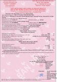  Xe đào bánh xích Kobelco SK330-8 