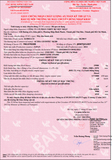  Máy đào bánh xích Kobelco SK200-9 