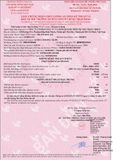  Xe đào bánh xích Kobelco SK200-9 
