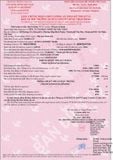  Xe đào bánh xích Kobelco SK200-9 