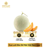  Dưa Lưới Đắc Đế Mật Việt Nam Loại 1 