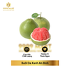  Bưởi Da Xanh An Bình 