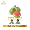  Bưởi Ruby Vĩnh Long 