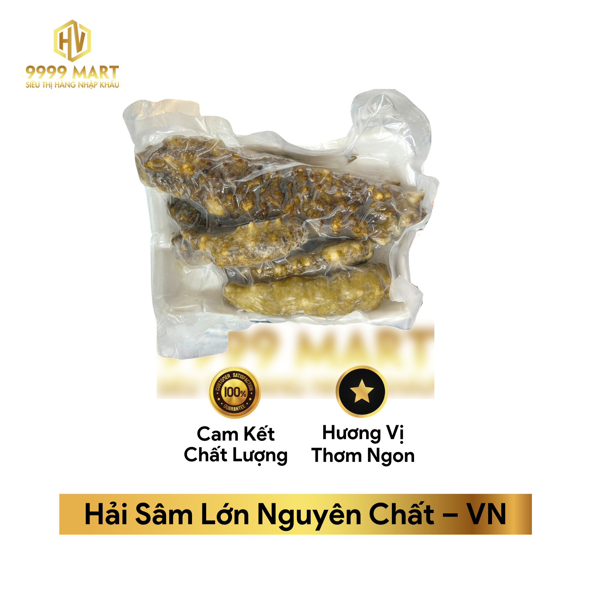  Hải Sâm Lớn Nguyên Chất – VN 