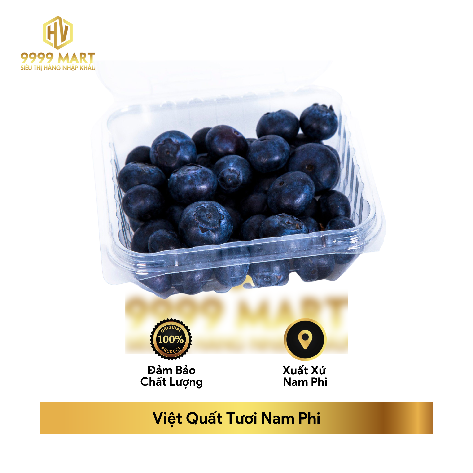  Việt Quất Tươi Nam Phi 