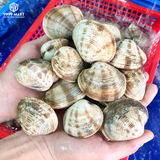  Ngao Sần 