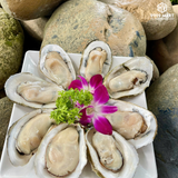  Hàu Hương 