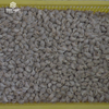  Cam Úc Ruột Vàng (Kg) 