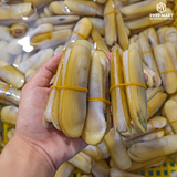  Ốc Móng Chân 