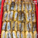  Ốc Móng Chân 