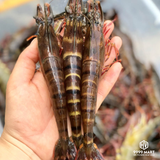  Tôm Sú Quãng Canh 