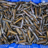  Ốc Móng Tay Tròn 