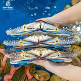  Ghẹ Xanh 