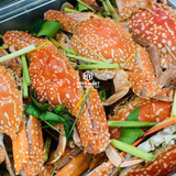  Ghẹ Trứng 