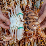  Ghẹ Đỏ 