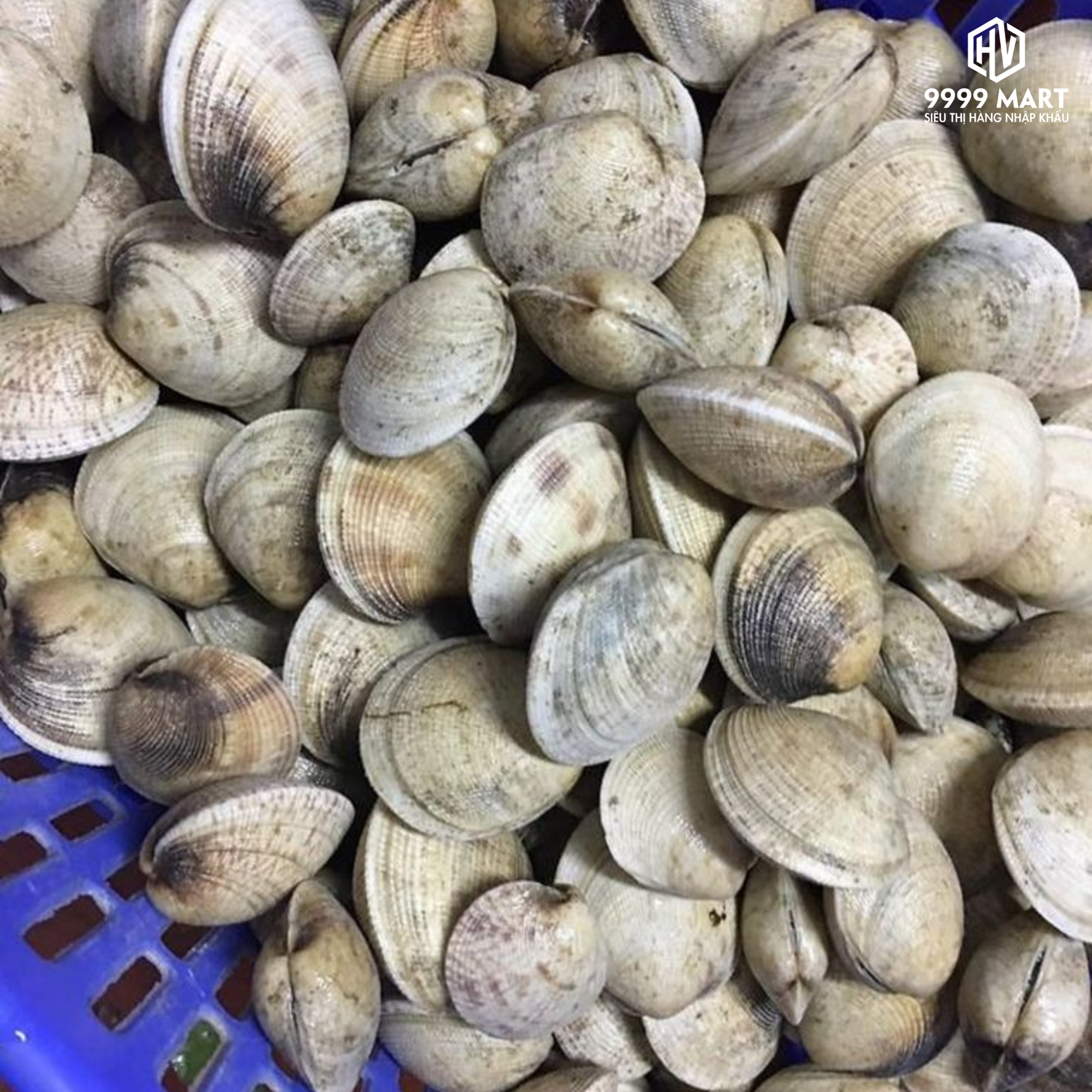  Sò Bi Chợ 