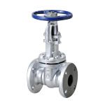  Van Cổng, Van Dẻo Loại 10K, Loại Loại Mặt Bích, Ren Ngoài Loại B·B - HITACHIVALVE 