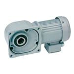  Động Cơ Bánh Răng Trục Rỗng/Trục Đặc・ Gắn Động Cơ Chống Thấm Nước - NISSEI 
