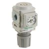  [In-Stock Items] Regulator  R*000 Series - CKD 