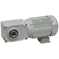  Động Cơ Bánh Răng Trục Rỗng Đồng Tâm GTR Được Trang Bị Động Cơ Bánh Răng Chống Nước - NISSEI 